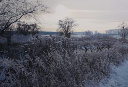 Verwilderter Garten im Winter